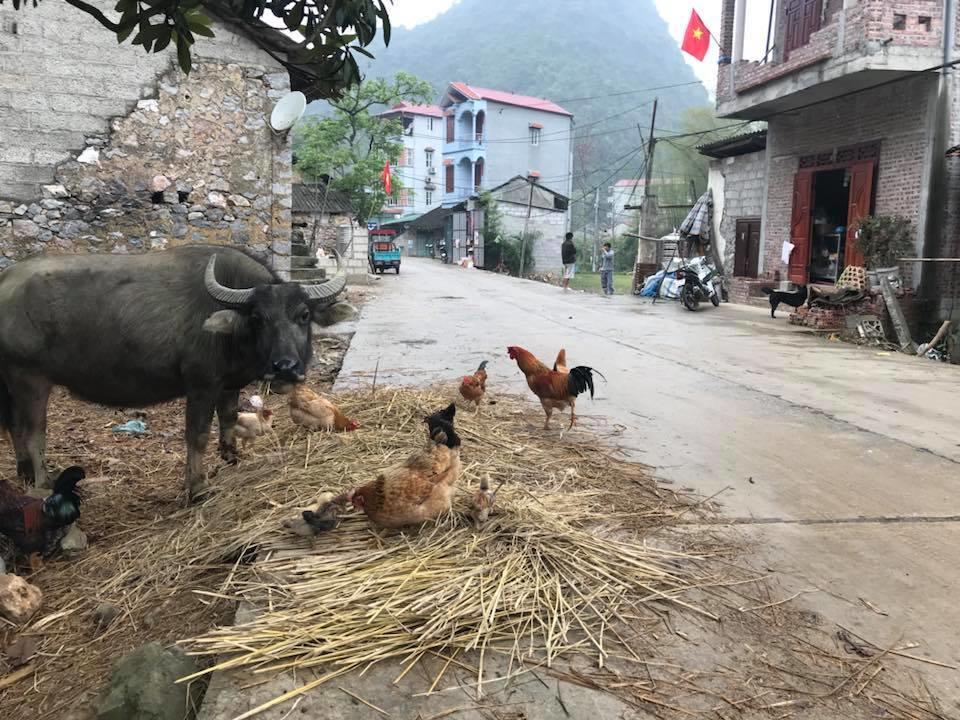 A Sy Ban Gioc Homestay - Lang Da Khuoi Ky Cao Bang Eksteriør billede