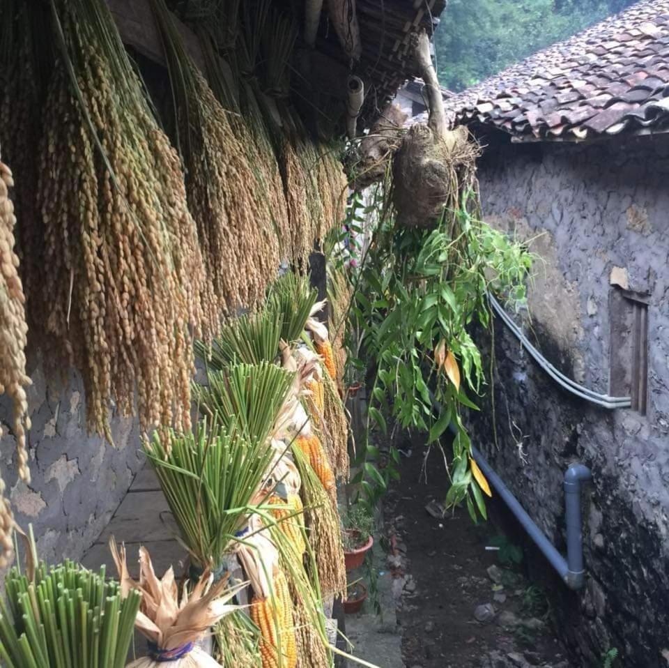 A Sy Ban Gioc Homestay - Lang Da Khuoi Ky Cao Bang Eksteriør billede